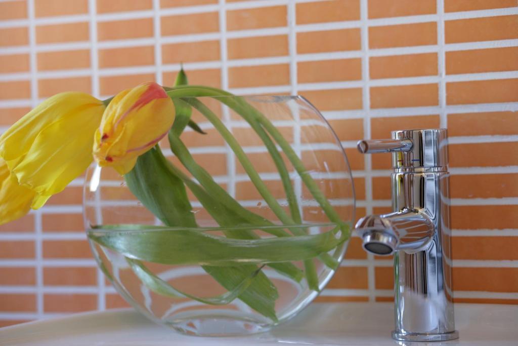 I Colori Del Vento B&B Valderice Eksteriør bilde